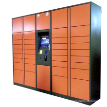intelligent electronic system package locker with vein detector
